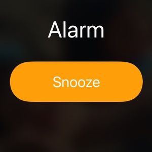 Meet your Posher, Gilbert